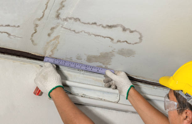 Reliable Water Damage contractor in Corsica, SD by Water Damage Irwin